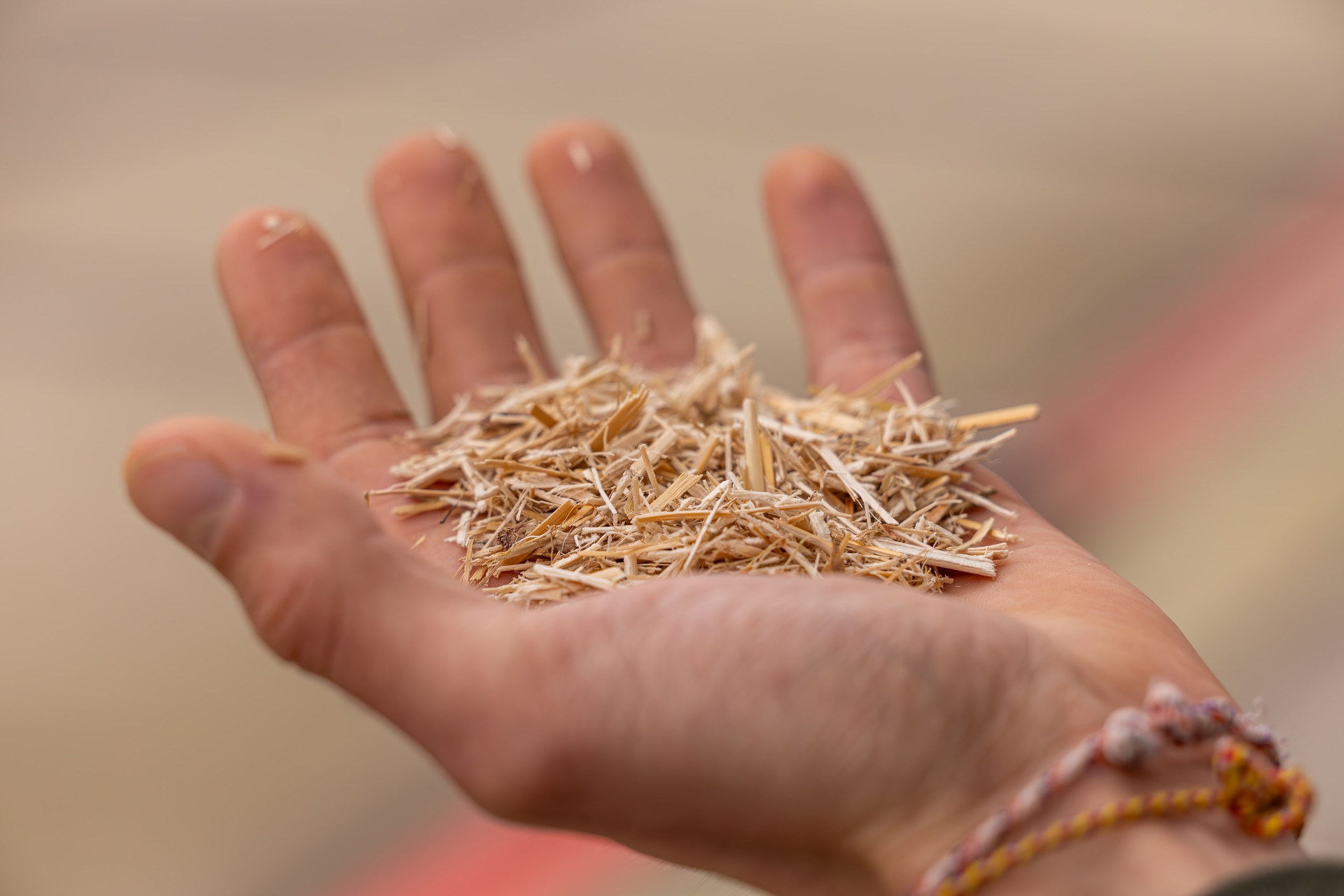 Een hand vol stro-achtige stukjes.