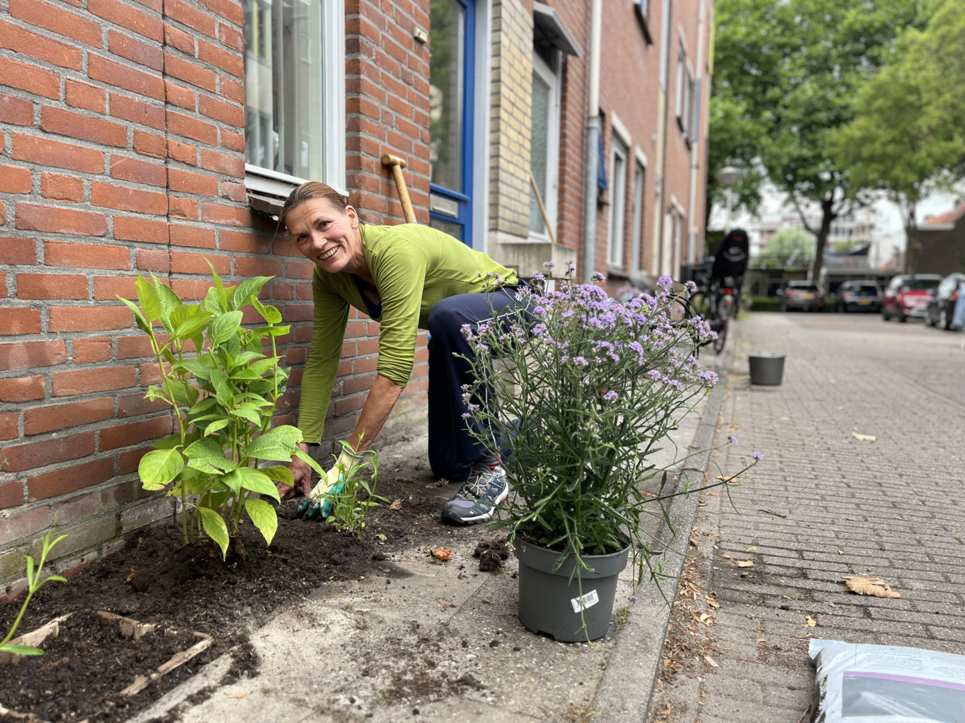 Bewoonster van de Eestraat vergroent haar tuin door tegels te vervangen door plantjes.